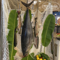 фото из отзыва ID 2720917