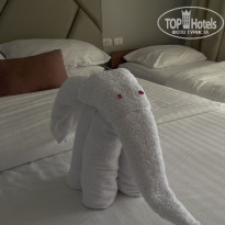 фото из отзыва ID 2720942