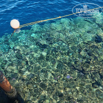 фото из отзыва ID 2721000