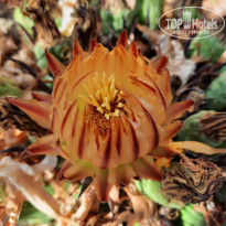 фото из отзыва ID 2721058