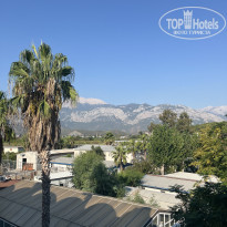 фото из отзыва ID 2721103