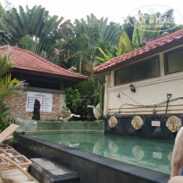 фото из отзыва ID 2720913