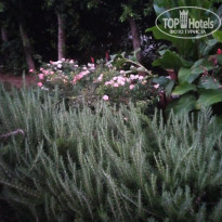 фото из отзыва ID 2721113