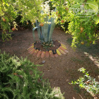 фото из отзыва ID 2721113