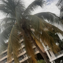 фото из отзыва ID 2721154