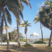 фото из отзыва ID 2721154