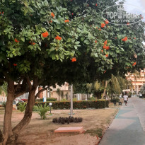 фото из отзыва ID 2721154