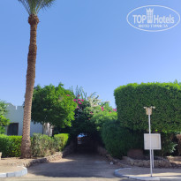 фото из отзыва ID 2721210