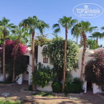 фото из отзыва ID 2721210