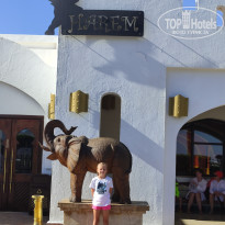 фото из отзыва ID 2721210