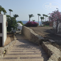 фото из отзыва ID 2721210