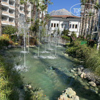 фото из отзыва ID 2721339