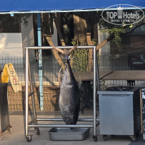 фото из отзыва ID 2721361