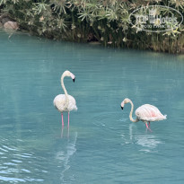 фото из отзыва ID 2720406