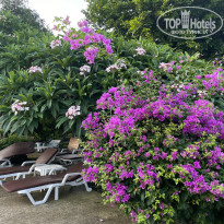 фото из отзыва ID 2721459