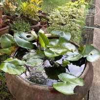 фото из отзыва ID 2721459