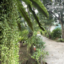 фото из отзыва ID 2721459