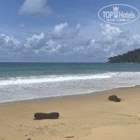 фото из отзыва ID 2721459