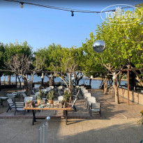 фото из отзыва ID 2721439