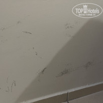 фото из отзыва ID 2721112