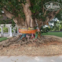 фото из отзыва ID 2721555