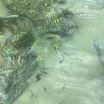 фото из отзыва ID 2721555