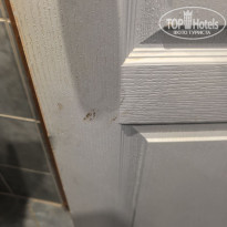 фото из отзыва ID 2721665