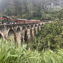 фото из отзыва ID 2721687