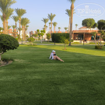 фото из отзыва ID 2721766