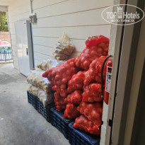 фото из отзыва ID 2721824