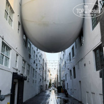 фото из отзыва ID 2720718