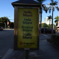 фото из отзыва ID 2720718