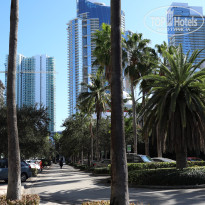 фото из отзыва ID 2720718