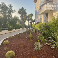 фото из отзыва ID 2721901