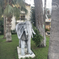 фото из отзыва ID 2721901