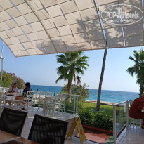 фото из отзыва ID 2721979