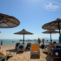 фото из отзыва ID 2721987