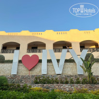 фото из отзыва ID 2721987