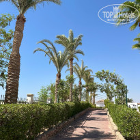 фото из отзыва ID 2721987