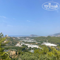 фото из отзыва ID 2722055