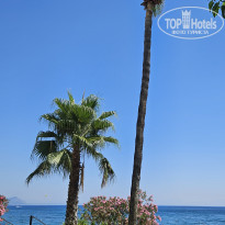 фото из отзыва ID 2722057