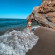 фото из отзыва ID 2722060