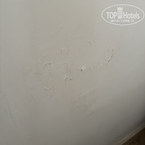 фото из отзыва ID 2722062