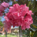 фото из отзыва ID 2722100
