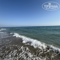 фото из отзыва ID 2722108