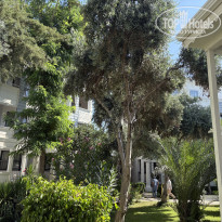 фото из отзыва ID 2722108