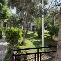 фото из отзыва ID 2722108