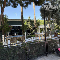 фото из отзыва ID 2722108