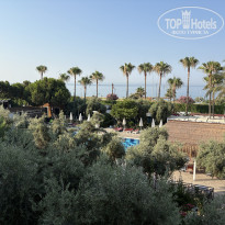 фото из отзыва ID 2722108