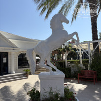 фото из отзыва ID 2722108